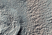 Terrain Sample
