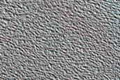 Terrain Sample