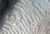 Fresh Impact Crater in Tempe Terra