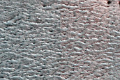 Terrain Sample