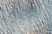 Terrain Sample
