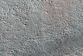 Terrain Sample