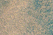 High-Latitude Northern Frost Enhanced Polygons