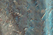 Fan in Southern Low-Latitudes
