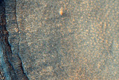 Acidalia Planitia