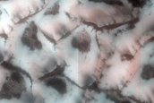 Terrain Sample