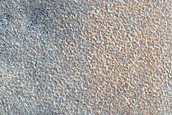 Terrain Sample