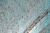Terrain Sample
