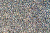 Northern Plains Sample