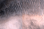 Arabia Terra