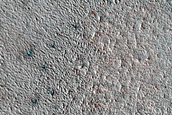Terrain Sample