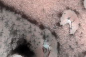 Terrain Sample