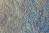 Terrain Sample