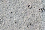 Flow Contact in Elysium Planitia