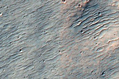 Crater Rim on Tyrrhena Patera