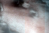 Polar Dunes Monitoring