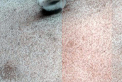 Terrain Sample