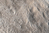 Irregular Cellular Structures around Crater in Terra Sabaea