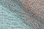 Terrain Sample