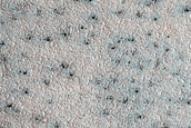 Terrain Sample