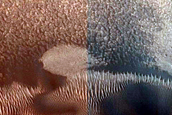 High-Latitude Gully Monitoring