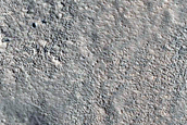Possible Gully in Wall of Trough in Mareotis Fossae