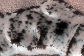 Terrain Sample