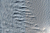 Daedalia Planum