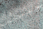Terrain Sample