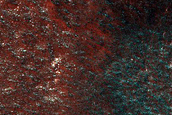Terrain Sample