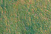 Terrain Sample