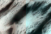 Terrain Sample