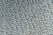 Terrain Sample