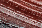 Terrain Sample