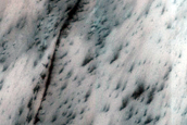 Terrain Sample