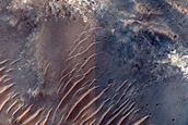 Light-Toned Materials on Poona Crater Floor