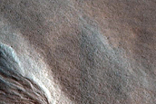 Gully Monitoring