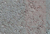 Terrain Sample