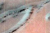 Terrain Sample