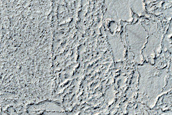 Elysium Planitia