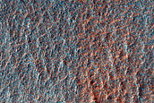 Hellas Planitia