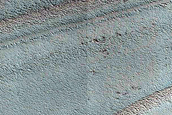 Terrain Sample