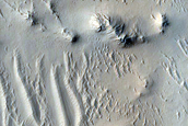 Terrain Sample