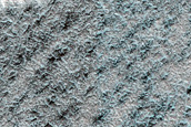 Terrain Sample