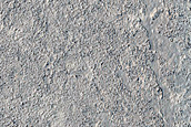 Flood Lavas in Cerberus Palus