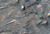 Phyllosilicates on Tyrrhena Terra Crater Floor