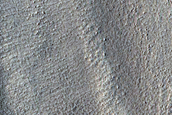 Utopia Planitia Crater