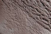 Terrain Sample
