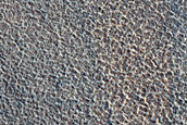 Terrain Sample