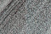 Terrain Sample